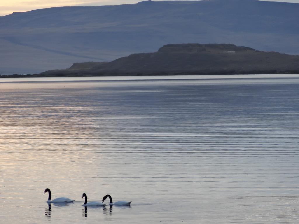 Hosteria Los Hielos El Calafate Dış mekan fotoğraf